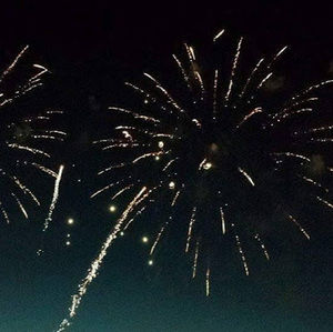 Meet your Posher, Annie